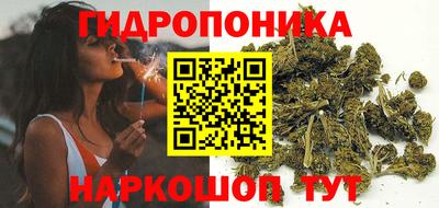 гидропоника Татарск
