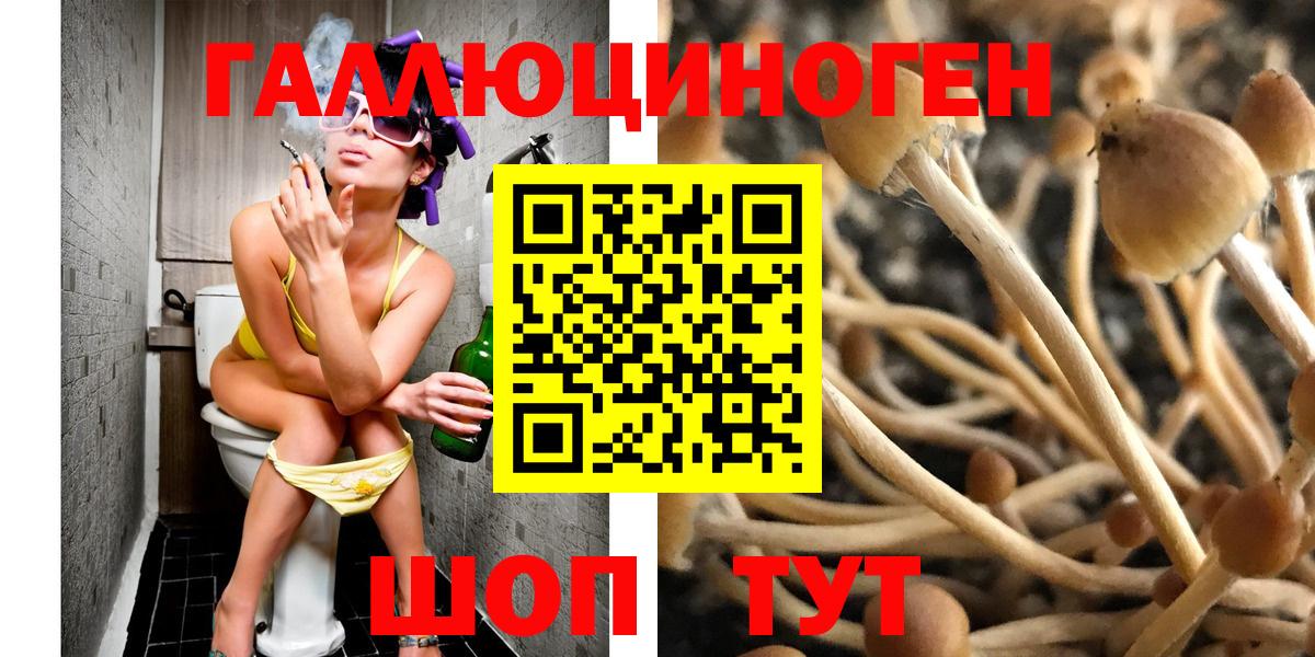 Галлюциногенные грибы Psilocybe Ахтубинск