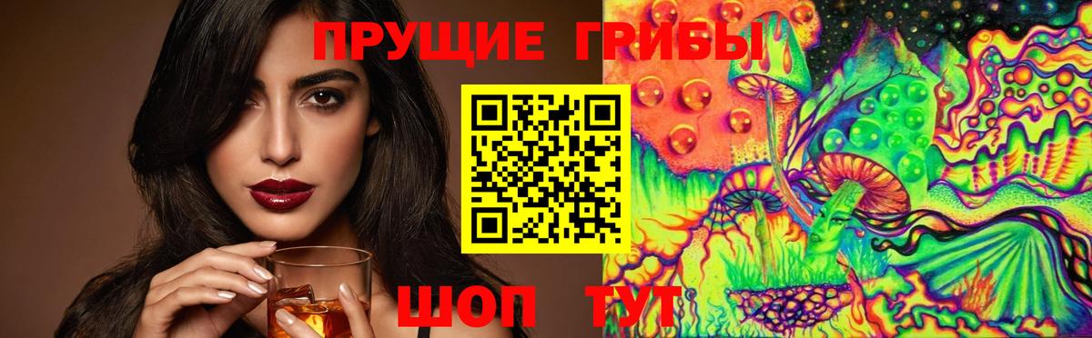 Ахтубинск  Галлюциногенные грибы прущие грибы  Вход с VPN 